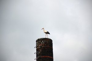 DSC_0164.JPG